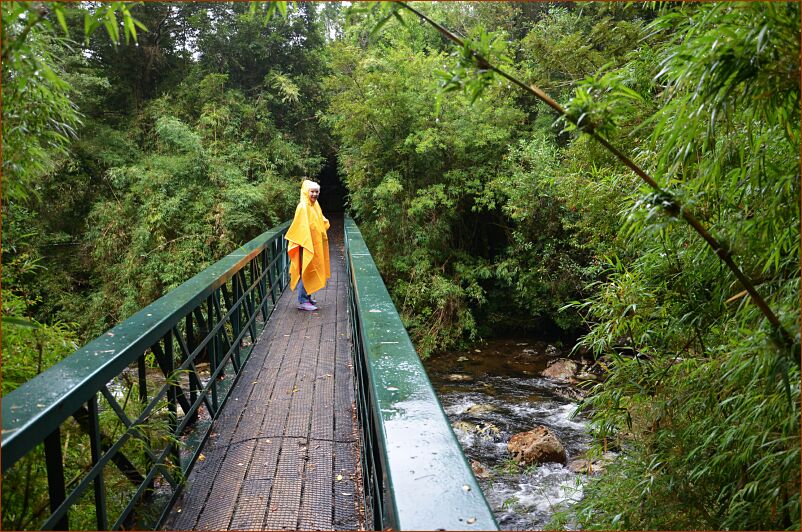 Chacabuco Sandy on bridge